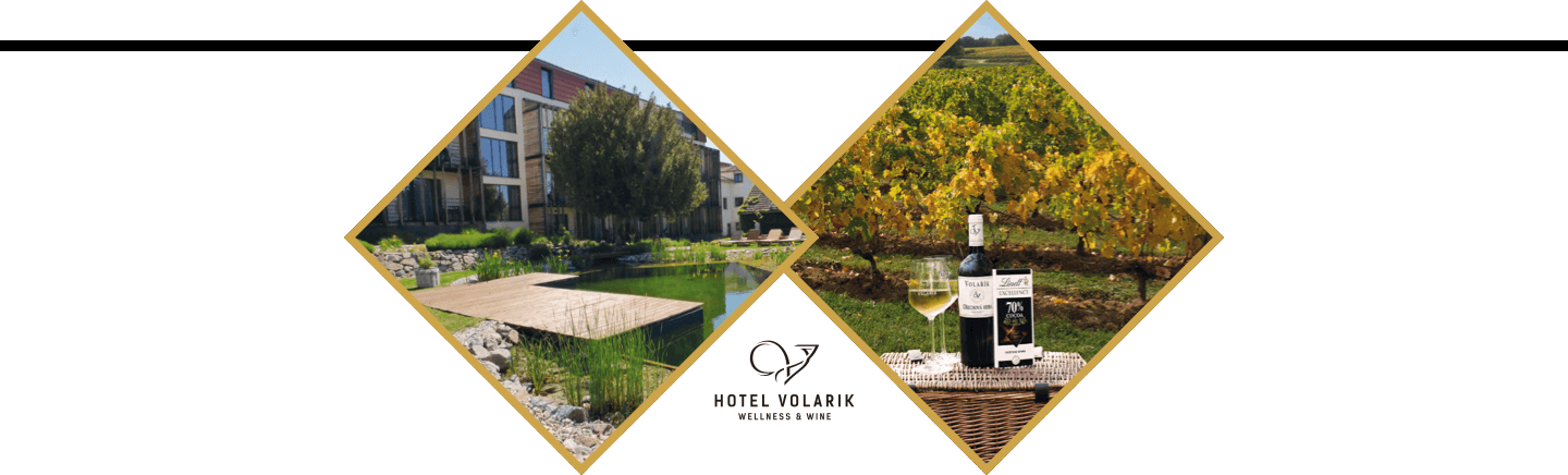 Wellness & Wine Hotel Volarik